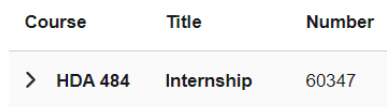 HDA 484, Internship, 60347