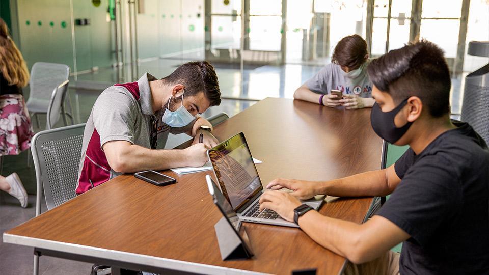 Students studying